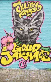Omslag van Goudjakhals
