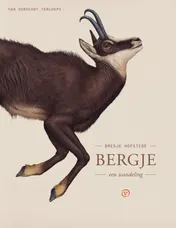 Omslag van Bergje
