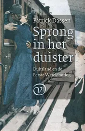 Omslag van Sprong in het duister