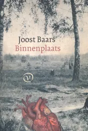 Omslag van Binnenplaats