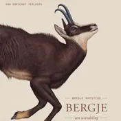 Omslag van Bergje