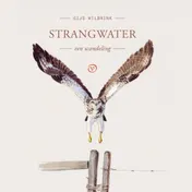 Omslag van Strangwater