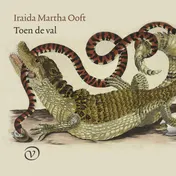 Omslag van Toen de val