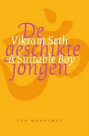 Omslag van De geschikte jongen