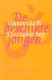 Omslag van De geschikte jongen