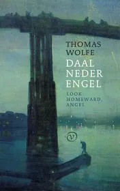 Omslag van Daal neder, engel