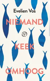 Omslag van Niemand keek omhoog