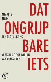 Omslag van Dat ongrijpbare iets