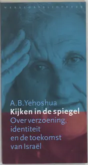 Omslag van Kijken in de spiegel