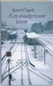 Omslag van Een doodgewoon leven