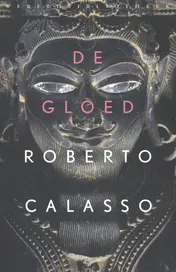 Omslag van De gloed
