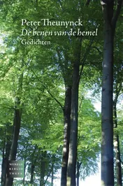 Omslag van De benen van de hemel