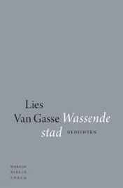 Omslag van Wassende stad