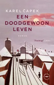 Omslag van Een doodgewoon leven