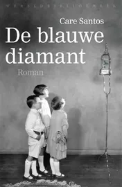 Omslag van De blauwe diamant