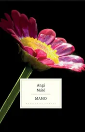 Omslag van Mamo