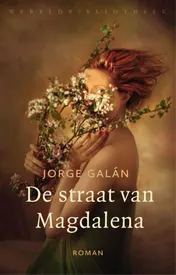 Omslag van De straat van Magdalena