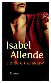Omslag van Liefde en schaduw