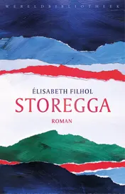 Omslag van Storegga