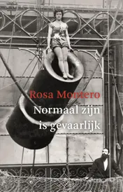Omslag van Normaal zijn is gevaarlijk
