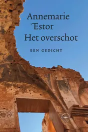 Omslag van Het overschot
