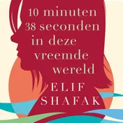 Omslag van 10 minuten 38 seconden in deze vreemde wereld