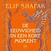 Omslag van De eeuwigheid in een kort moment