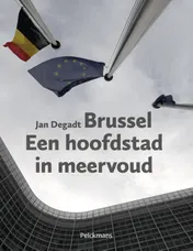 Omslag van Brussel een hoofdstad in meervoud