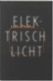Omslag van Elektrisch licht