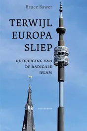 Omslag van Terwijl Europa sliep