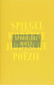 Omslag van Sprakeloos water