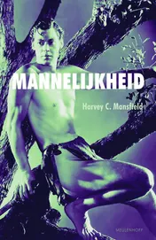 Omslag van Mannelijkheid