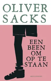 Omslag van Een been om op te staan