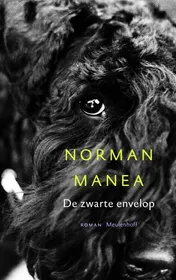 Omslag van De zwarte envelop