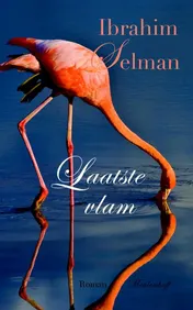 Omslag van Laatste vlam