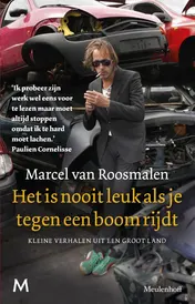 Omslag van Het is nooit leuk als je tegen een boom rijdt