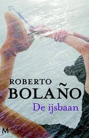 Omslag van De ijsbaan