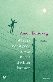 Omslag van Waar ik nooit goed in was steeds slechter kunnen