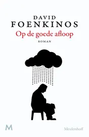 Omslag van Op de goede afloop