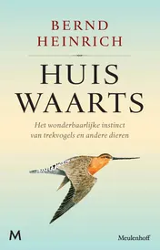 Omslag van Huiswaarts