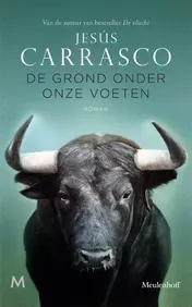 Omslag van De grond onder onze voeten