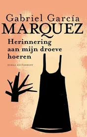 Omslag van Herinnering aan mijn droeve hoeren