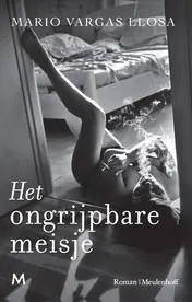 Omslag van Het ongrijpbare meisje