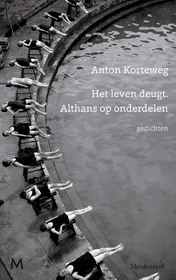 Omslag van Het leven deugt. Althans op onderdelen