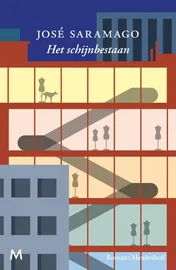 Omslag van Het schijnbestaan
