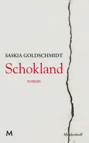 Omslag van Schokland