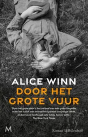Omslag van Door het grote vuur