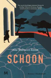 Omslag van Schoon