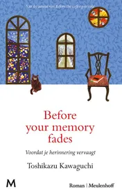 Omslag van Before your memory fades