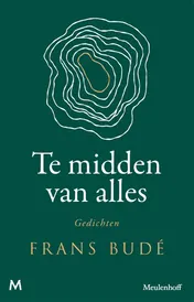 Omslag van Te midden van alles